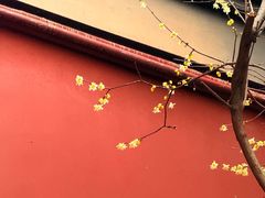 -钱王祠