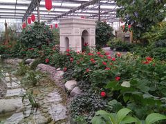 -南宫五洲植物乐园