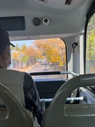 -Oasis Beauty水磨坊科技美肤中心