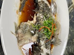 -金瑞轩大酒楼·顺德鱼生·粤菜海鲜(东江国际店)