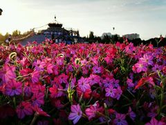 android_upload_pic-赛汗塔拉风情园