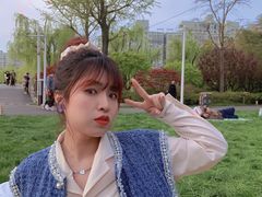 -大宁郁金香公园-停车场