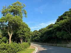 -朱家尖南沙景点