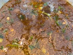 -水韵·渔家臻品私房菜(中庙店)