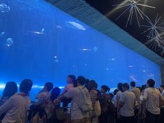 -华夏文旅海洋公园