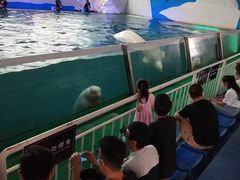 -秦皇岛乐岛海洋王国