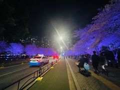 -西北湖绿化广场