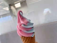 -喜茶(迪士尼小镇DP店)
