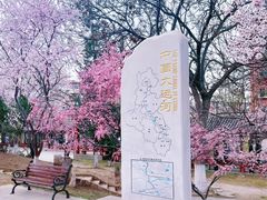 -桃花堤公园