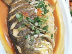 -添福来墨鱼饺子 · 海鲜东北菜(大连星海·黄浦路店)