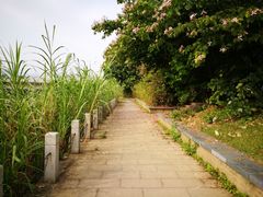 -福建师范大学(仓山校区)