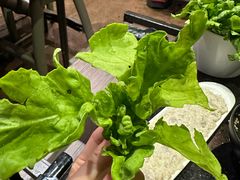 广东茼蒿-德记牛肉社潮汕鲜切牛肉火锅(中心路店)