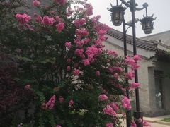 -万源龙顺度假庄园生态观光园