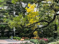 -香港大学