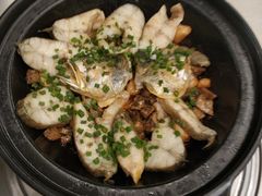 -欢乐海岸美食联盟