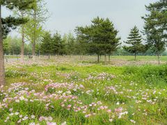 -汉长安城未央宫国家考古遗址公园