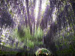 -祥源·阜阳生态乐园