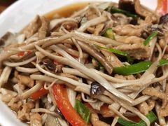 -大邑李记肥肠血旺