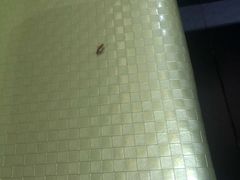 -清真·锦翔炝锅鱼(明德门店)