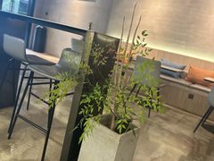 -野鸽子咖啡(中航店)