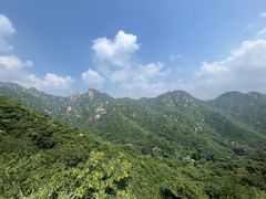-大岭沟猕猴桃谷风景区