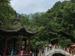 -王顺山国家森林公园