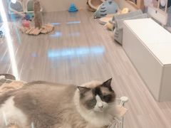 -嘉亿台球俱乐部(观前店)