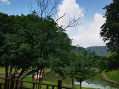 -悦禧耕岛酒店·指月坞餐厅·旺山特色农家乐