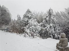 -武陵山森林公园