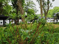 -泰州凤城河风景区-泰山公园