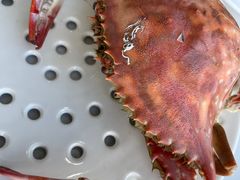 -必点蒸汽海鲜(止锚湾店)