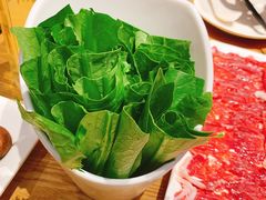 油麦菜-掂档潮汕牛肉火锅(沈阳万象城店)