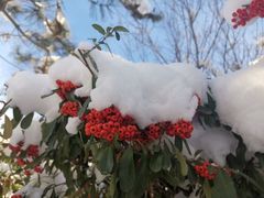 -汤泊温泉度假村