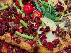 -老板恋上鱼(恒隆广场店)