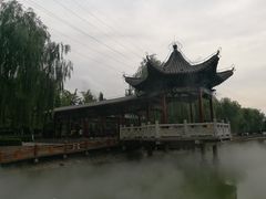-金城公园