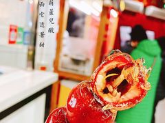 -和禄德冰糖葫芦