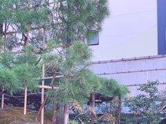 -中村藤吉(本店)