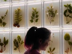 -广东中医药博物馆