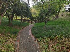 -徐家汇源景区-衡山公园