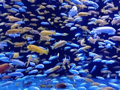 -成都浩海立方海洋公园