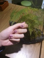 -森日式美甲沙龙MORI NAIL总店