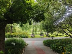 -莲花池公园