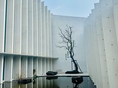 -中国宣纸文化园