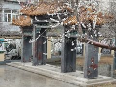 -桃花堤公园