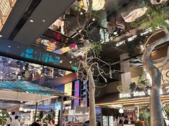 -桂满陇·海市蜃楼·黑金(国金店)