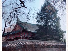 -钓鱼台国宾馆