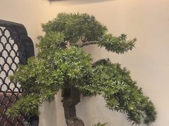 -小菜园新徽菜(南京秦淮龙蟠汇店)