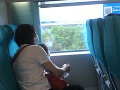 -龙阳路磁悬浮列车总站-停车场