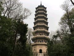 -灵谷景区