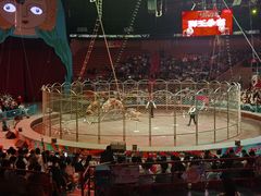 -俄罗斯国家大马戏团